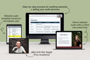 Danbee Shin – Website Audit Masterclass