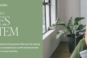 Shannon Matson – High Ticket Sales System