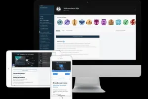 Stijn Noorman – The X Growth System